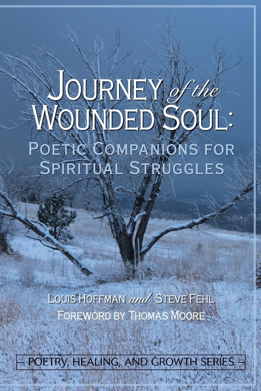 Buy Journey of the Wounded Soul: Poetic Companions for Spiritual Struggles — BookShops.in