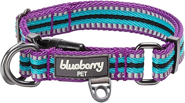 Blueberry Pet 10+ Colors 3M Reflective Multi-Colored Stripe Adjustable Dog Collar, Violet and River Blue, Small, Neck 12"-16"