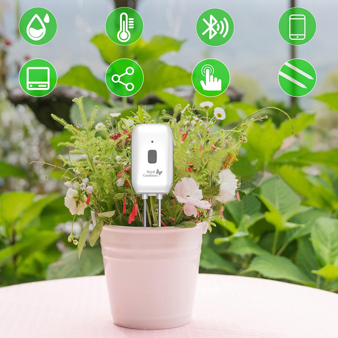 Royal Gardineer Bodenfeuchtigkeitssensor: 4er-Set Boden-Feuchtigkeits-&Temperatur-Sensoren mit WLAN-Gateway, App (Boden Feuchtigkeitsmesser WLAN, Bodentemperatur Sensor, Thermo)