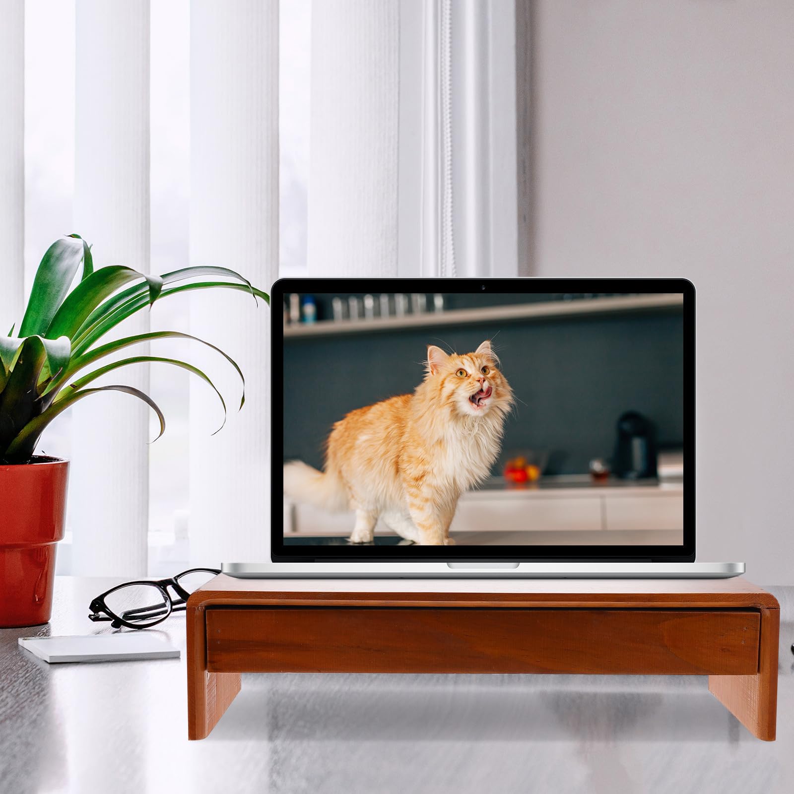 GANAZONO Soporte para Monitor de Madera, Elevador de Pantalla para Oficina