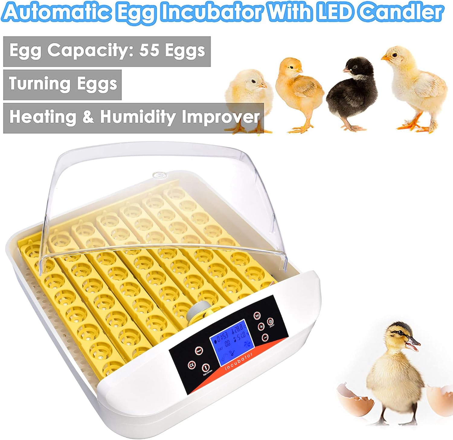 Buy Reasejoy Temperature Control Digital 55 Egg Incubator Hatcher Automatic Turning With Built In Led Candler Online In Indonesia B0811j7br2