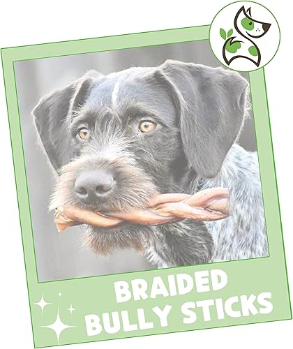 Miniatura 7 de Nature Gnaws Palitos trenzados para perros de 5 a 6 pulgadas (10 unidades) Larga duración para perros pequeños y medianos Huesos naturales para