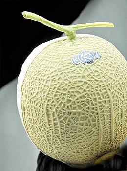 k♡　静岡アールスメロン6玉&高知赤肉メロン5玉 Amazon.co.jp: 赤肉 メロン 果物 贈答用 大玉 1玉 (静岡メロン