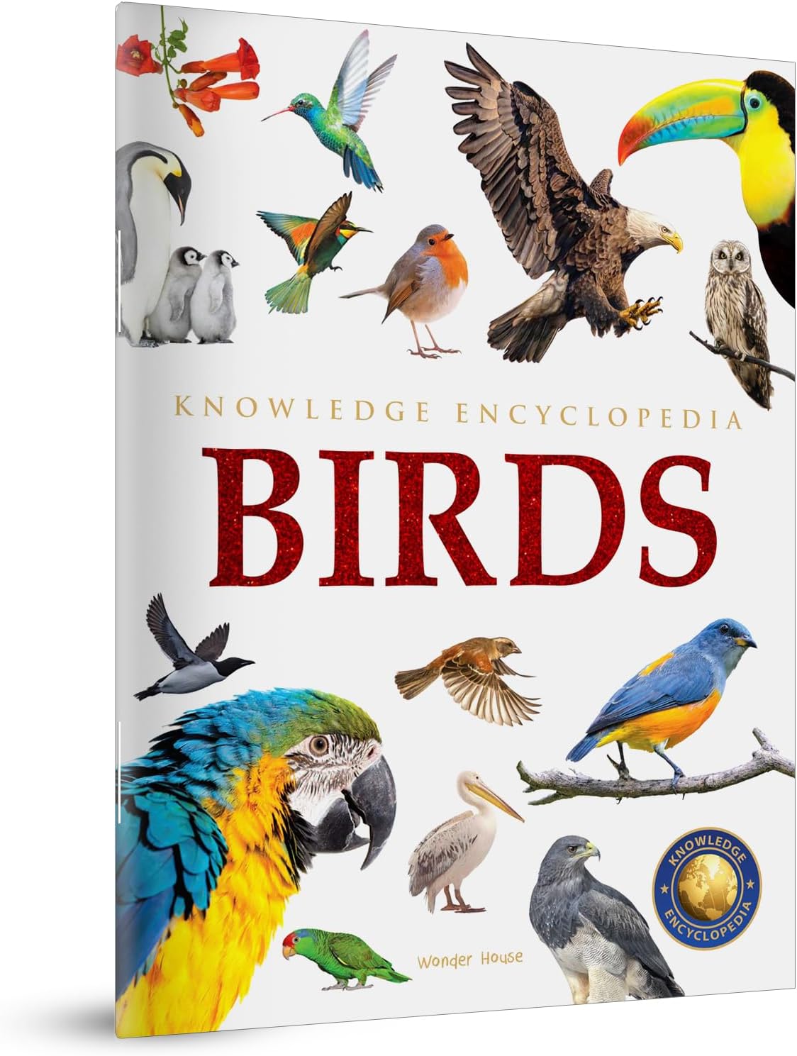 Animals - Birds : Knowledge Encyclopedia For Children