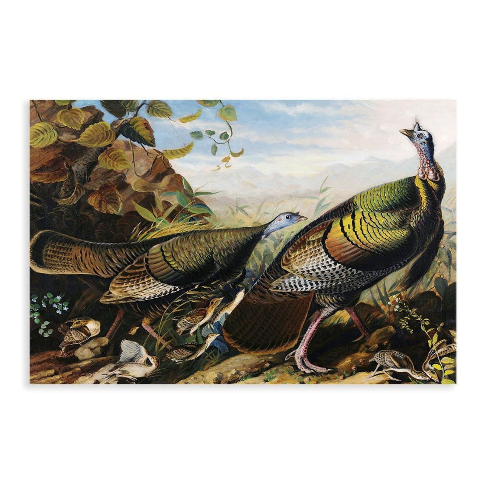 DFJyjFGJJ John Jamse Audubon,Wild Turkey Cock, Hen And Young Canvas Wall Art Print Poster For Home School Office Decor 16" L X 24" W