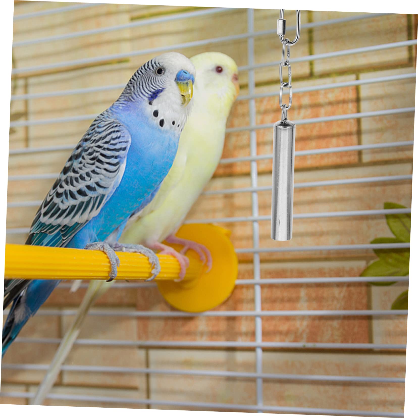 VANZACK 3stücke Vogelspielzeug Mit Edelstahlglocke Für Sittiche Und Papageien Und Sicheres Spielzeug Aktivität Und Ihres Für Vogelkäfige Dekoration
