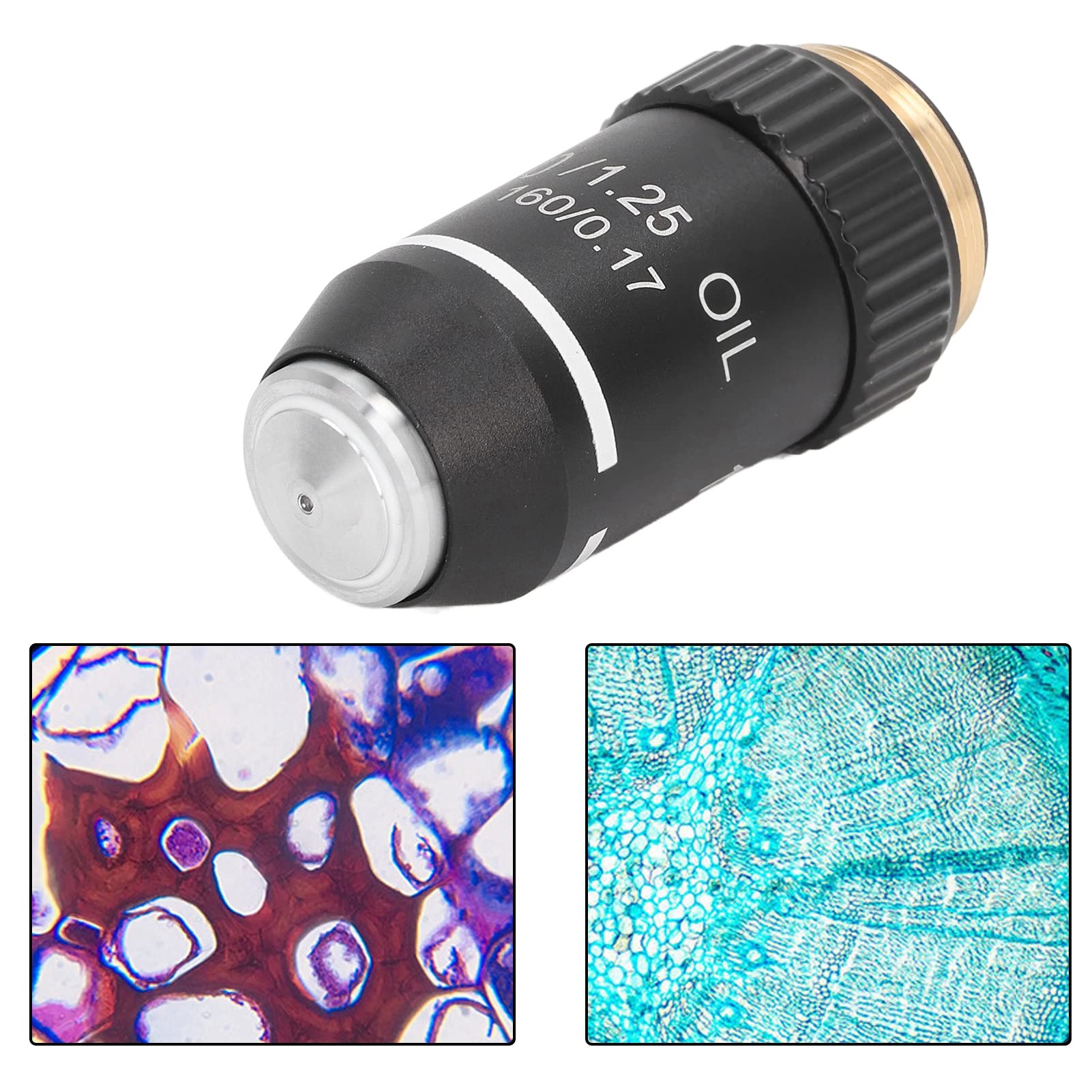 Óptica Lente de Objetivo de Microscopio 100X, Interfaz Estándar DIN 160 20.2MM, Lente de Objetivos Acromáticos de Microscopio Biológico, Lente de Objetivo de Calidad de Laboratorio para Microscopios B