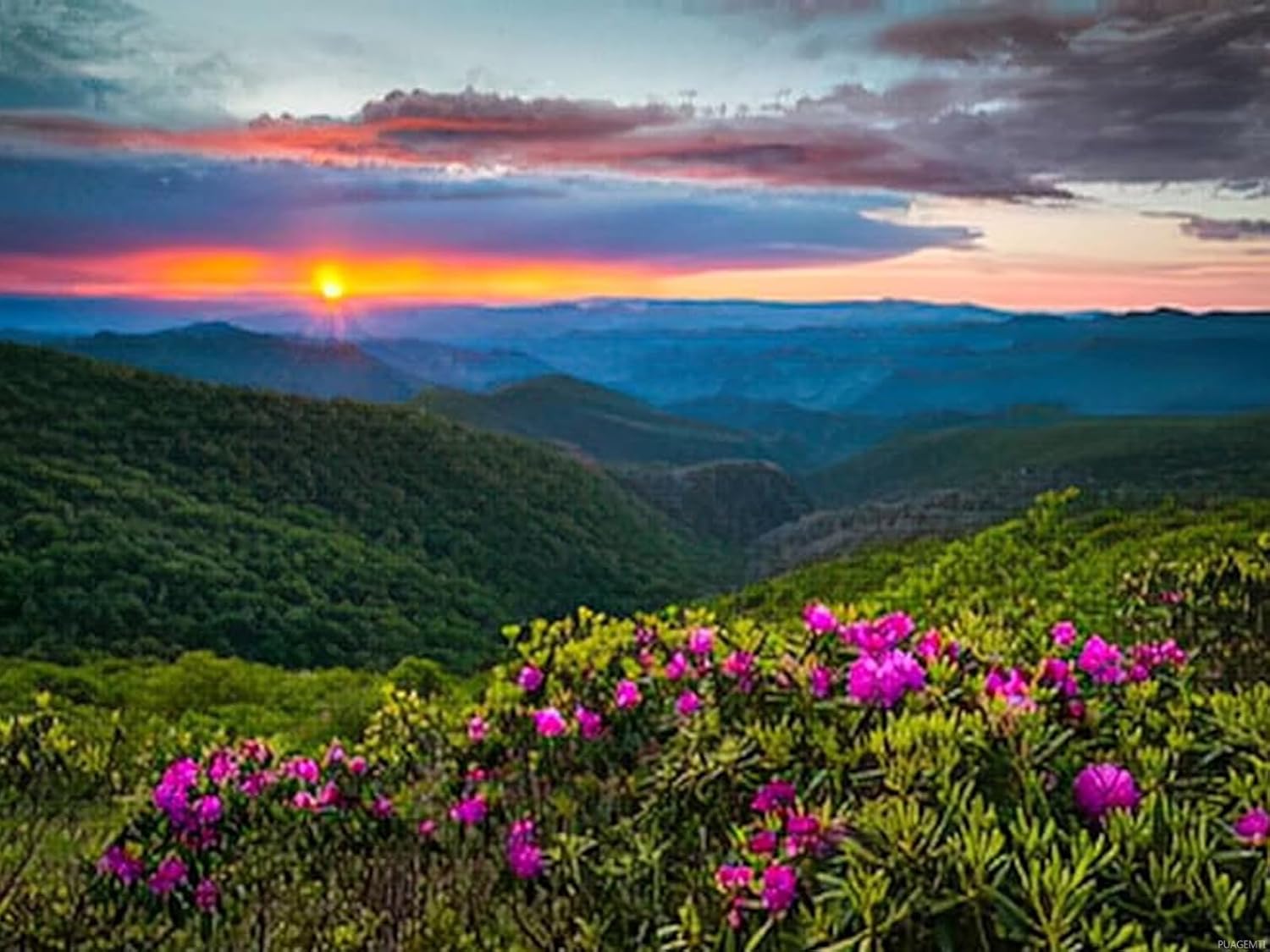 Diamond Painting Landscape North Carolin Blue Ridge Parkway Spring Flowers Scenic Landscape South of Ashevs Scenery Seasonal for Adult Painting Kits Diamond Art Perfect for Home Wall Decor 12x16 Inch