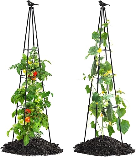 Enrejado de jardín para plantas trepadoras al aire libre, enrejado de pepino de 67 pulgadas de alto para cama elevada, jaula de tomate para jardín,