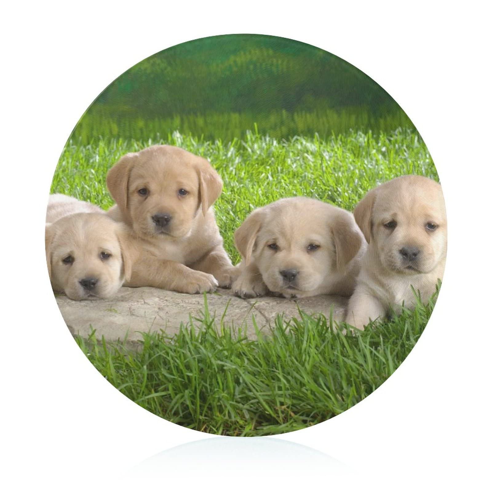 Planche à découper en verre résistant à la chaleur design chien mignon 20cm