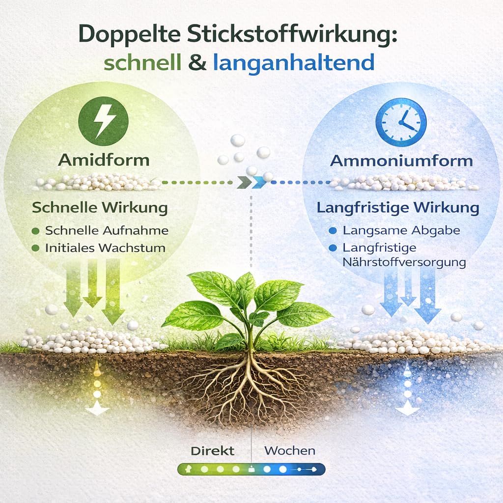 GiDeli Rosendünger 25 kg - Granulat für Rosenbeete und Zierhecken | ergiebiger Vorrat für Dauerbedarf, viel Kalium für Trockenheit und Frost, wenig Chlorid schont die Wurzeln