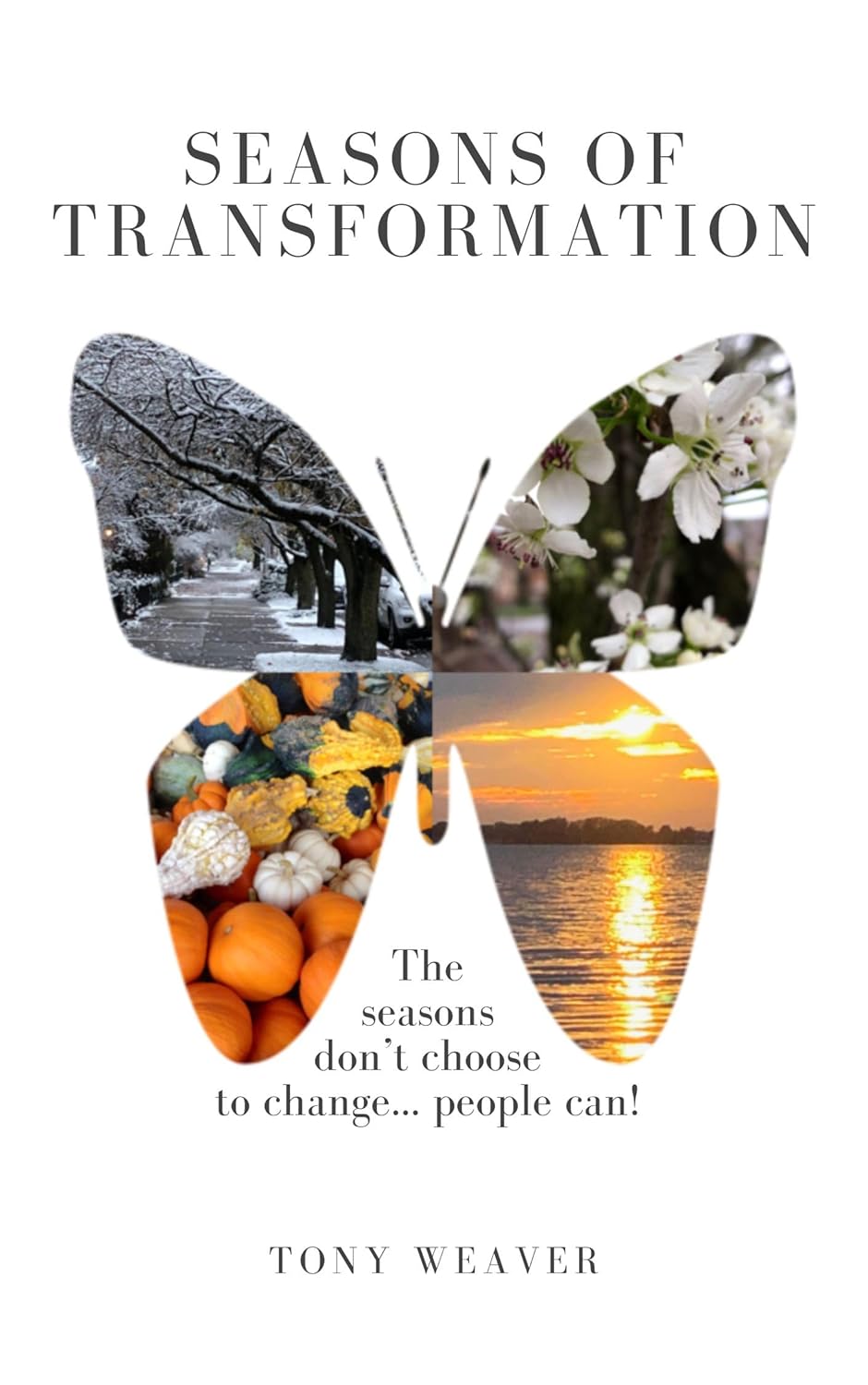 Seasons of Transformation One woman's story of goals, life