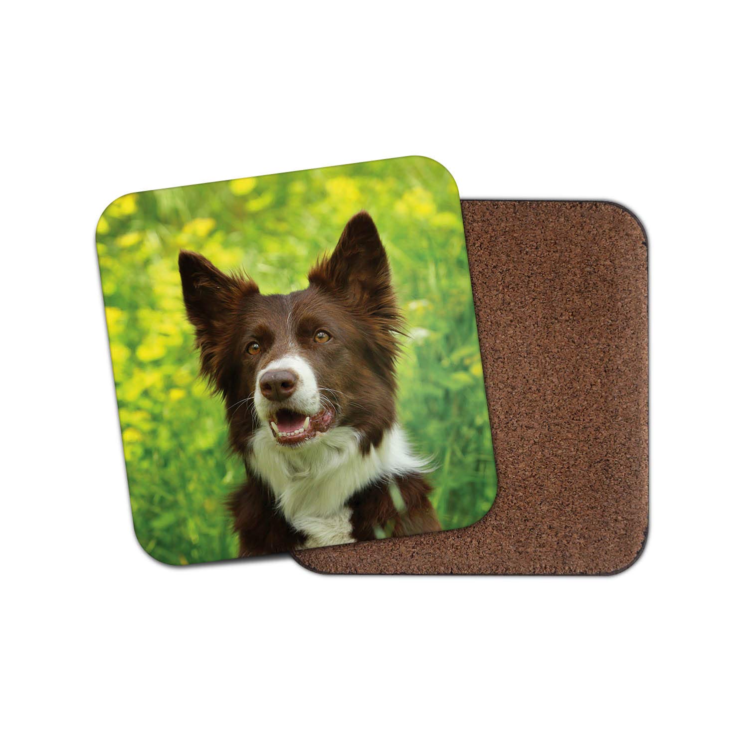 Destinationvinyl Multicolor 1 X Brown Border Collie Drinks Coaster - Dog Puppy Sheepdog Farmer Fun #8628