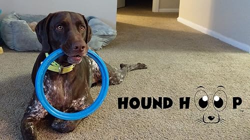 Miniatura 3 de Juguete profesional para perros para razas medianas y grandes - Neumático rodante y anillo de persecución para entrenamiento al aire libre y juego