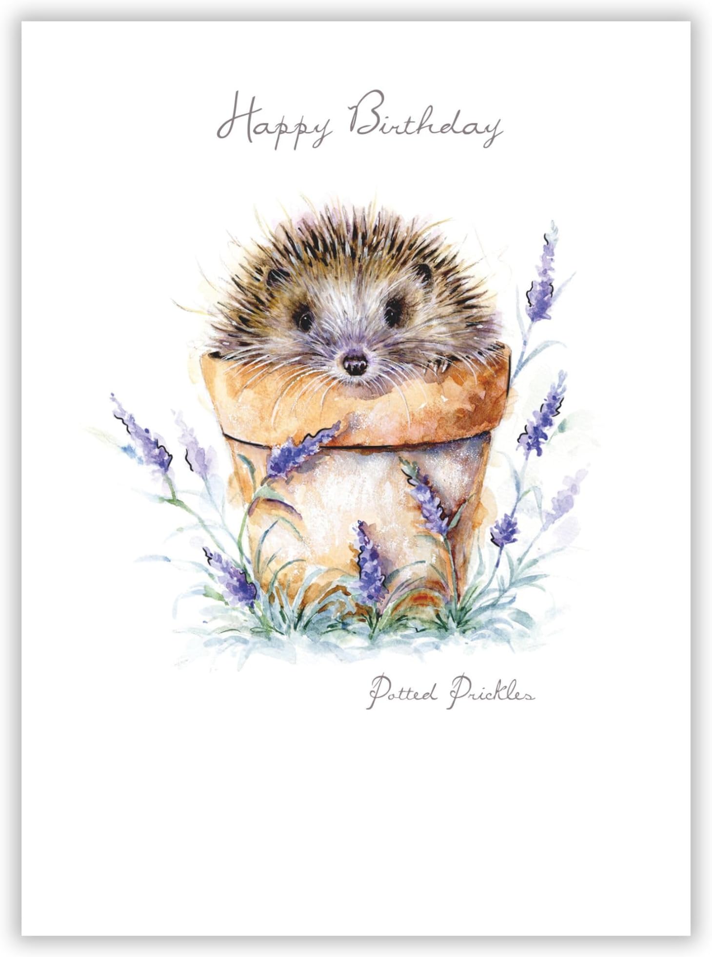 Noel Tatt Artistic Open 'Happy Birthday' Greeting Card - 'Potted Prickles' Hedgehog in Flower Pot Illustration - With A Silver Foil Finish - From The Pawfolio Range