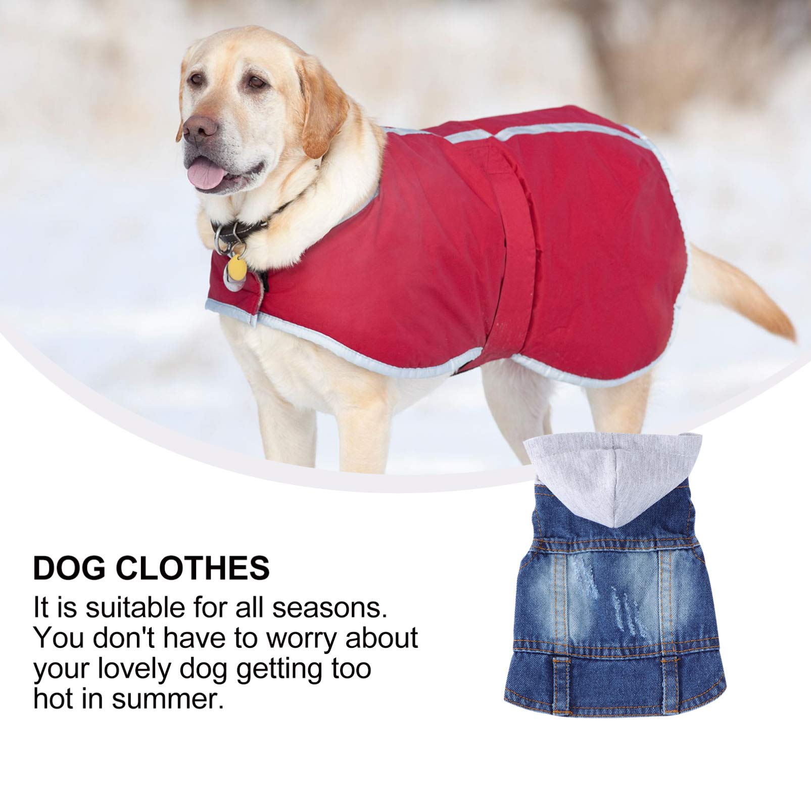 Happyyami Bassotto Gilet Rinfrescante per Cani di Piccola Taglia Bandana Costume Cucciolo Bianca
