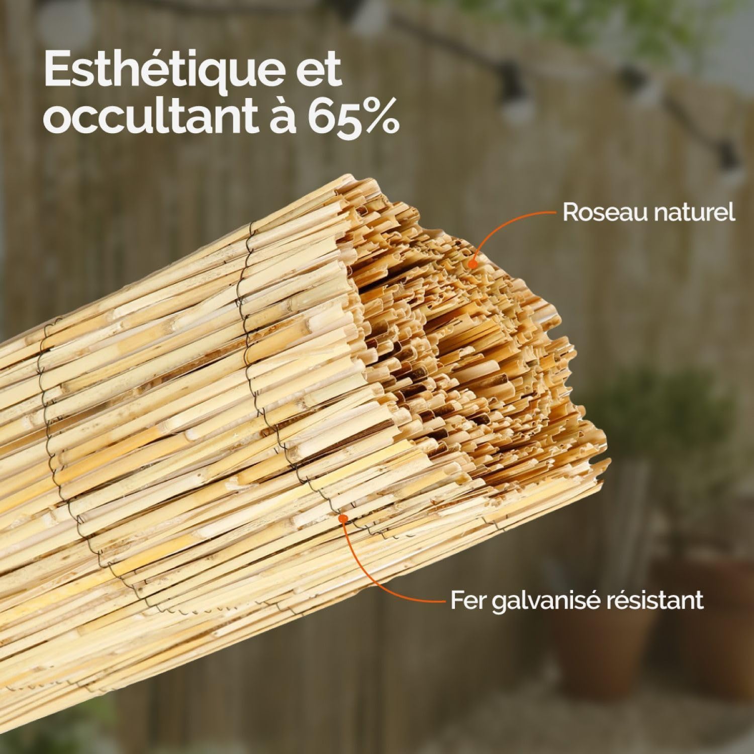 Linxor - Canisse, Brise Vue occultant en Roseau Fendu - Plusieurs Dimensions Disponibles