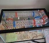 Review Image by Katie Katie