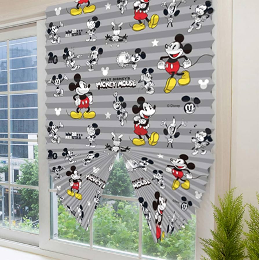 Amazon｜カーテン ブラインド シェード パーテーション