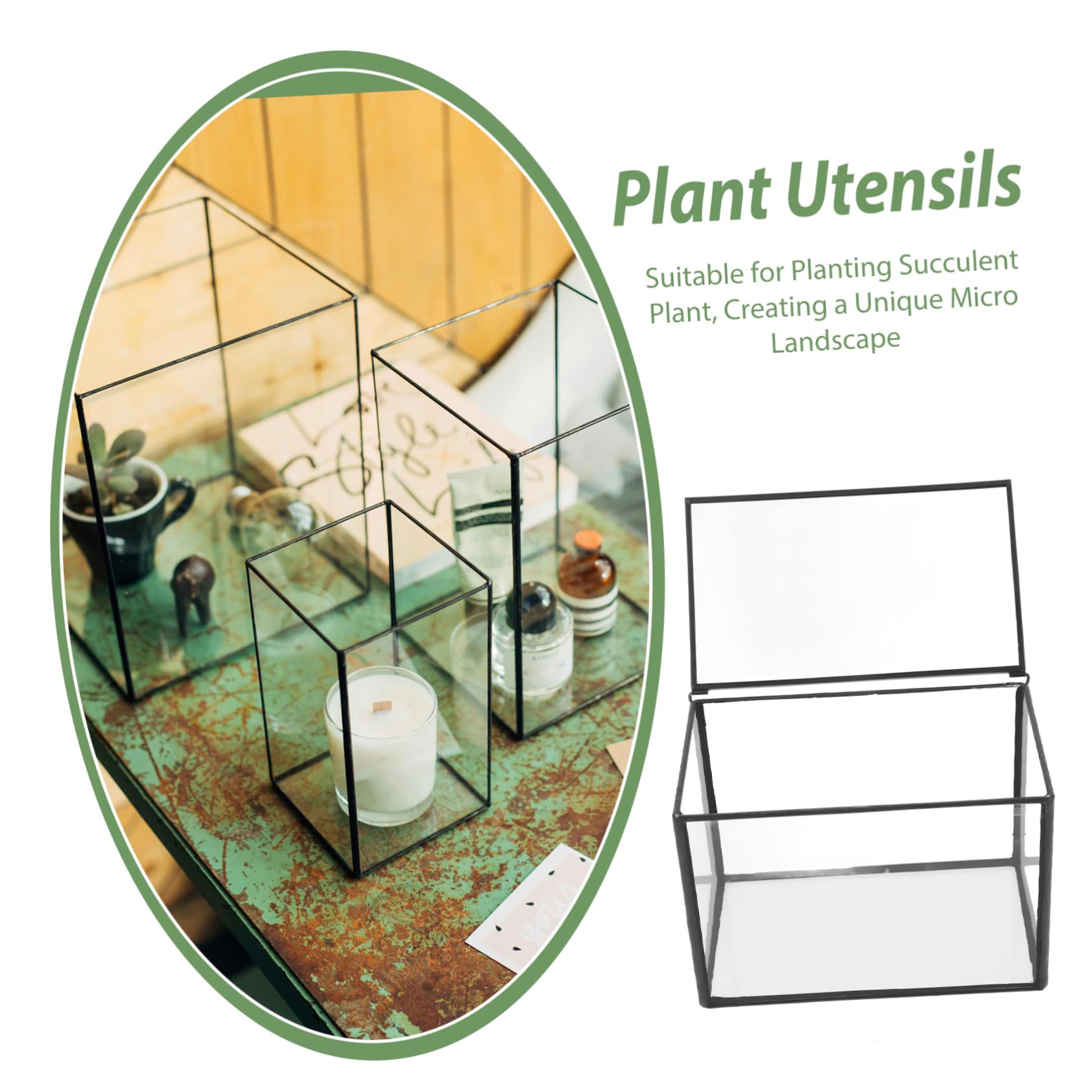 BESPORTBLE Terrario de Vidrio Contenedor Transparente para Plantas Suculentas, Maceta Resistente y Decorativa Adecuado para Decorar Habitaciones y Regalar