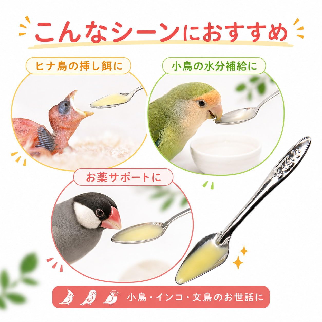 Amazon | Nikkashop 鳥用 給餌スプーン ステンレス ヒナ鳥 挿し餌