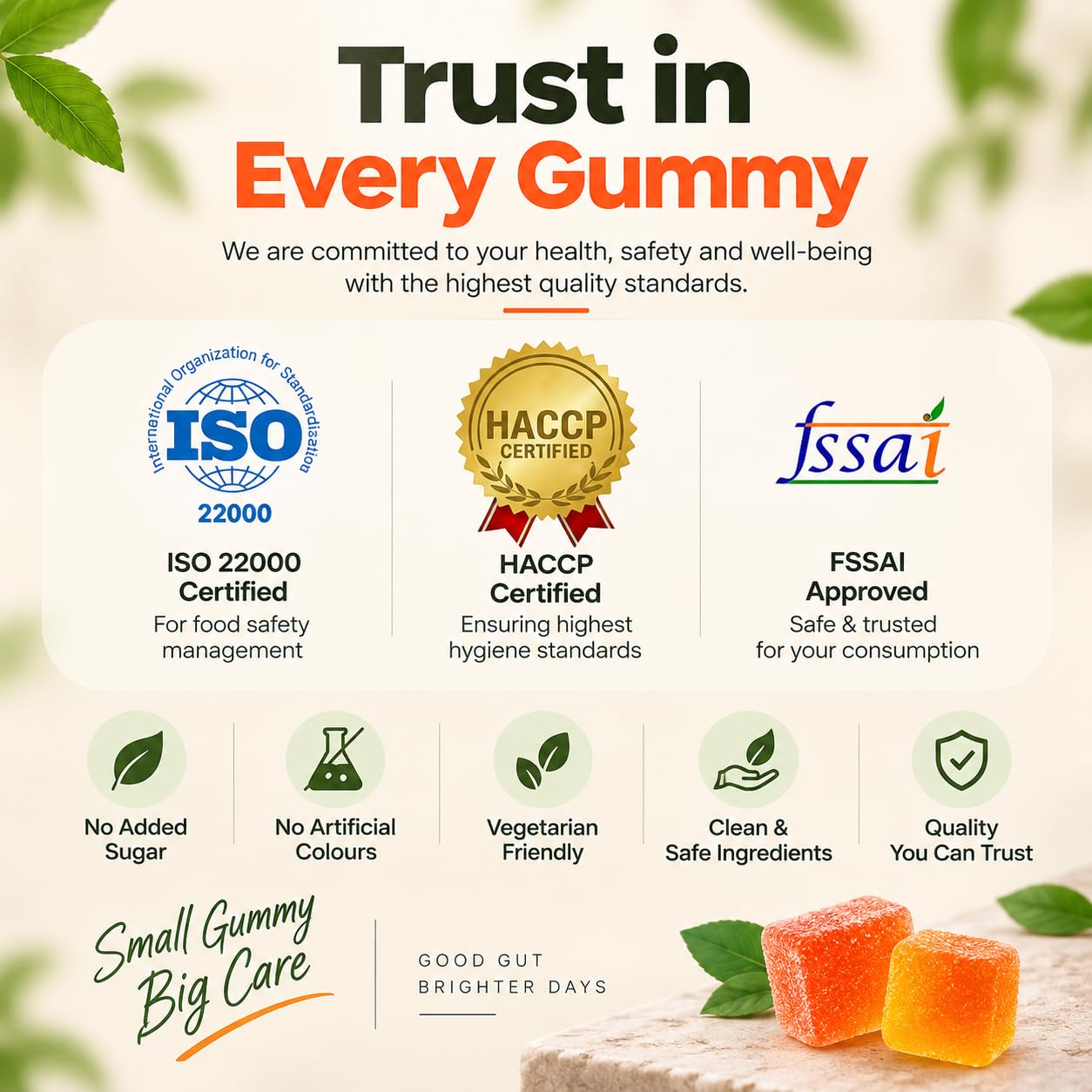Gut Health Supplements Gummies | Probiotics + Prebiotics Gummies | B. Coagulans & FOS | Gut Health Supplements for Digestion, Bloating & Constipation Relief | Probiotics + Prebiotics with Triphala & Amla (Pack of 1) — Amazon image 6