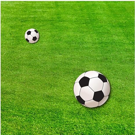 Amazon Co Jp Wuyyii カスタム3dスポーツテーマ写真壁紙サッカーフィールド壁壁画用キッズリビングルームソファキッズ寝室の壁紙テレビの背景 250x175cm ジュエリー Amazon Co Jp Wuyyii カスタム3dスポーツテーマ写真壁紙サッカーフィールド壁壁画用キッズリビングルームソファキッズ寝室の壁紙テレビの背景 250x175cm ジュエリー