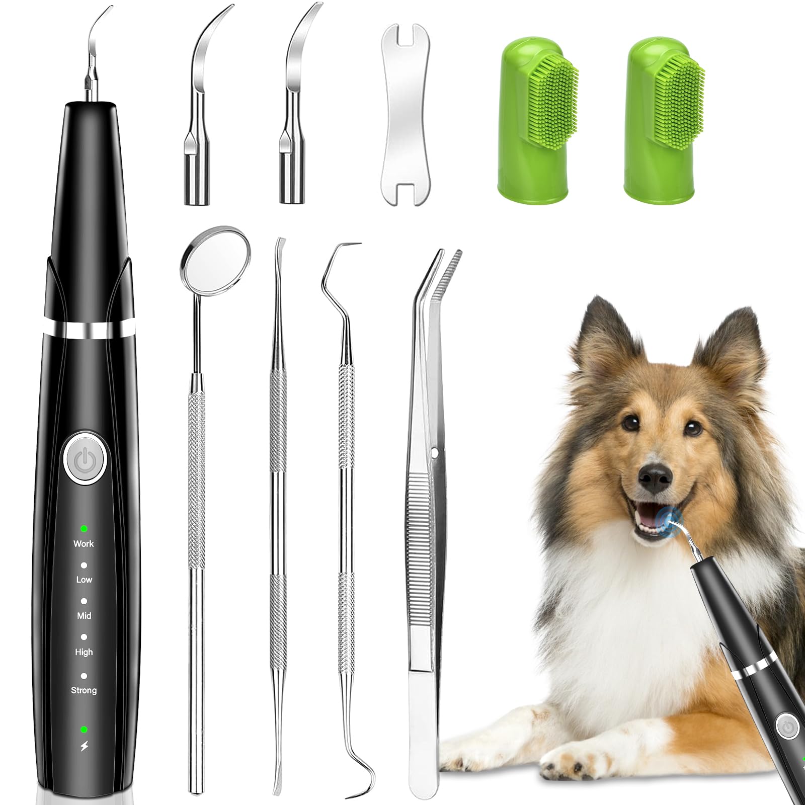 Kit de Nettoyage des Dents de Chien, Tartre Dentaire Nettoyage, Soins Dentaires pour Animaux de Compagnie, Brosses à Dents pour Chiens et Chats