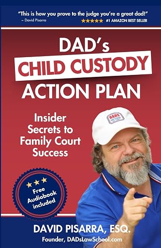Dad's Child Custody Plan