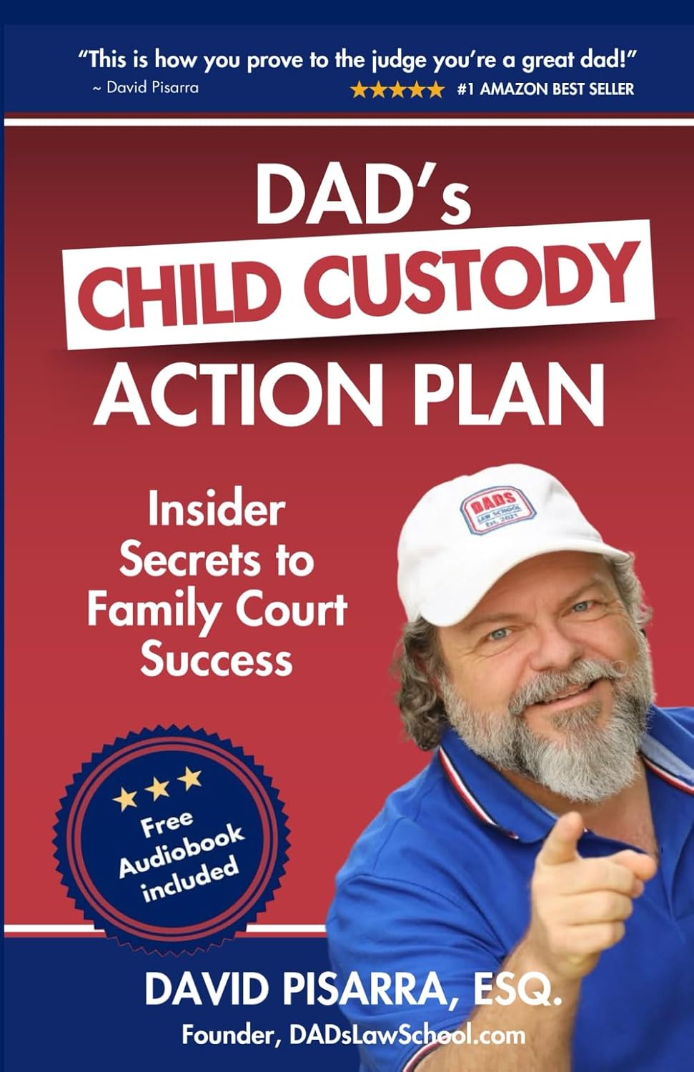 DAD'S CHILD CUSTODY ACTION PLAN: Insider Secrets to Family Court Success      Paperback – May 16, 2025
