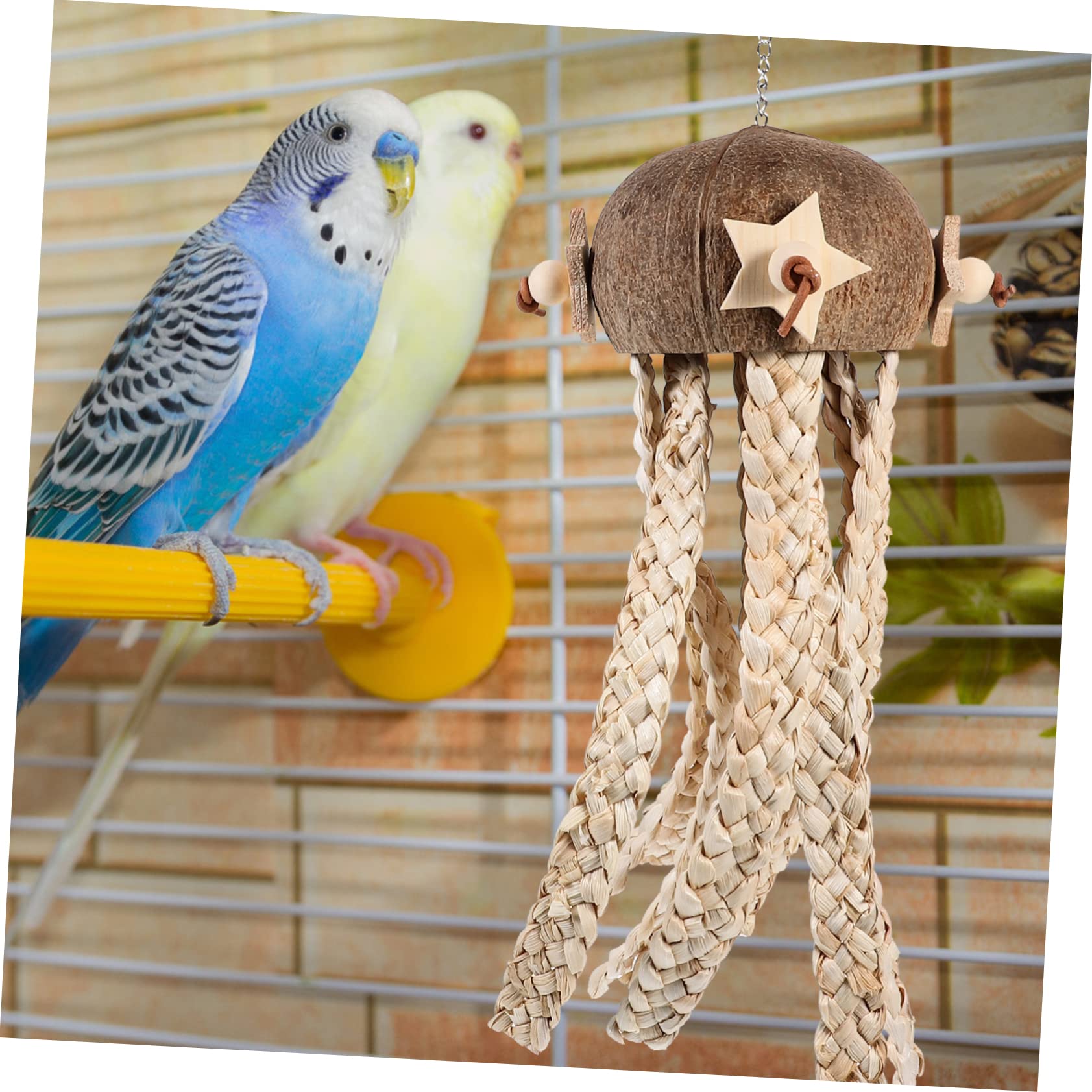 TOYANDONA Vogelspielzeug aus Kokosnussschale zum Aufhängen Sicheres Kauspielzeug für Papageien Futterspielzeug für Vogelkäfige und Natürliche Beschäftigung