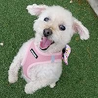 Vista 7 de Best Pet Supplies Voyager Step-In Air - Arnés para mascotas con malla para todo tipo de clima, reflectante, arnés sin tirón para perros y gatos