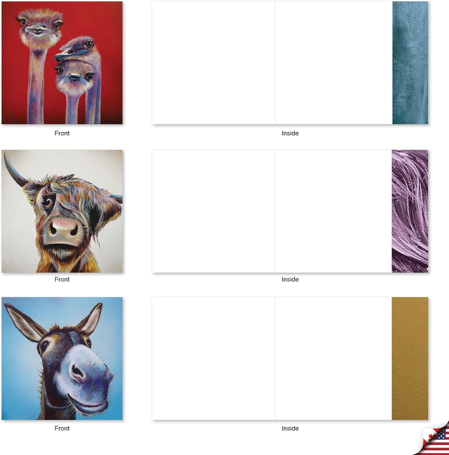 The Best Card Company - 10 Adorable Note Cards Blank (4 x 5.12 Inch) - Wildlife and Animal, Assorted Boxed Set - Animal Magnetism AMQ6218OCB-B1x10 - Image 3