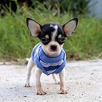 Vista 6 de LOPHIPETS Camisas de Perro a Rayas de 100% Algodón para Perros Pequeños Chihuahua Ropa para Cachorros Chaleco Camiseta sin Mangas - Rayas Azules