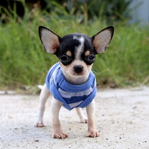 Miniatura 6 de LOPHIPETS Camisas de Perro a Rayas de 100% Algodón para Perros Pequeños Chihuahua Ropa para Cachorros Chaleco Camiseta sin Mangas - Rayas Azules y