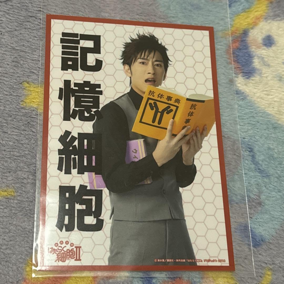 活劇 はたらく細胞 Amazon.co.jp: 体内活劇 はたらく細胞 樹状細胞(川隅美慎) NF