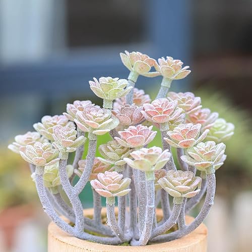 Miniatura 2 de ANGELLOONG Plantas falsas para decoración de sala de estar, plantas artificiales para decoración del hogar en interiores, plantas sintéticas moradas