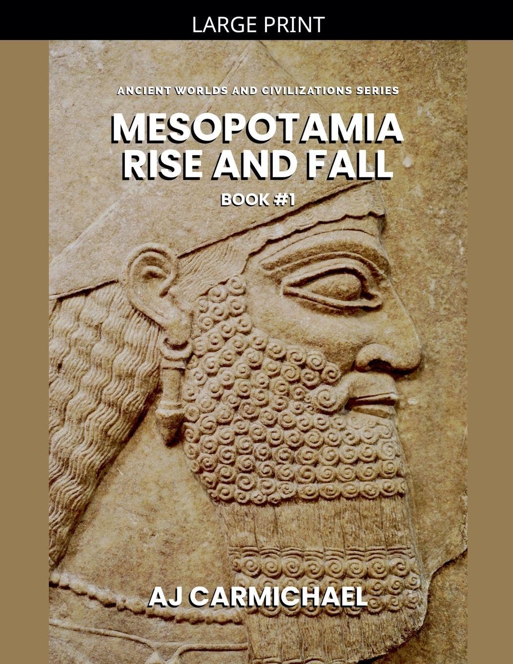 Mesopotamia, Rise and Fall: 1 (Ancient Worlds and Civilizations)