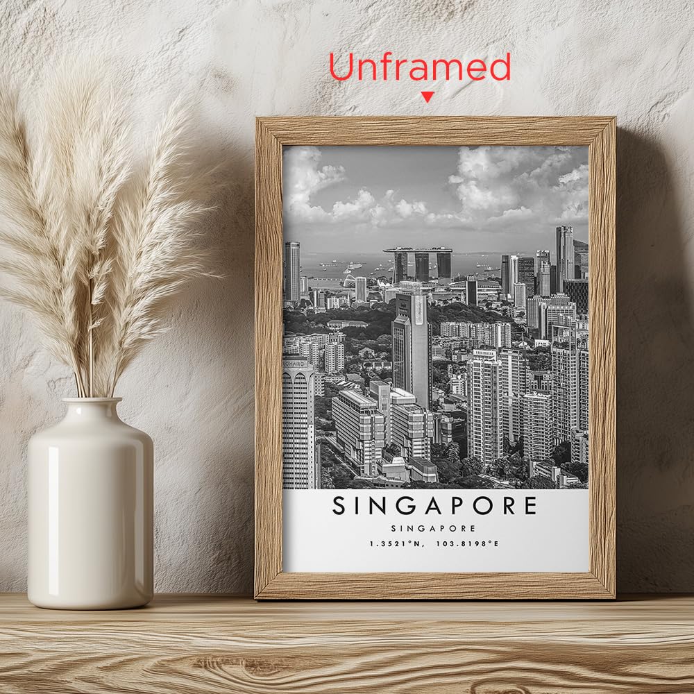 Amazon.co.jp: YakuWolf シンガポール旅行プリント、シンガポール