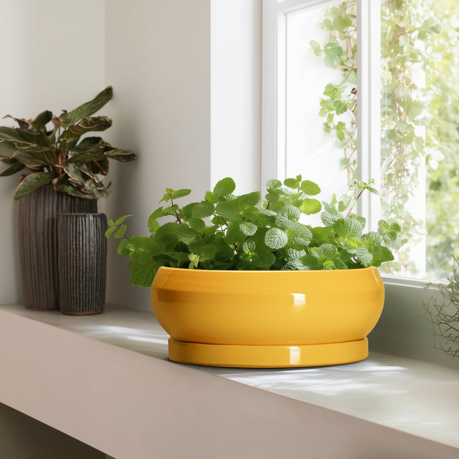 Bonsai-Töpfe aus Keramik, 33 cm, große Sukkulententententöpfe mit Ablaufloch und Untersetzer, Bonsai-Pflanzgefäß für drinnen und draußen, runde Flache Schale, Pflanzgefäß