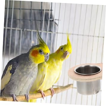 Stainless Steel Bowl for Birds for Hanging in the Cage Bird Feeder for Parrots Rabbits and Hamsters for Food and Water Set of 2 with Wooden Stand