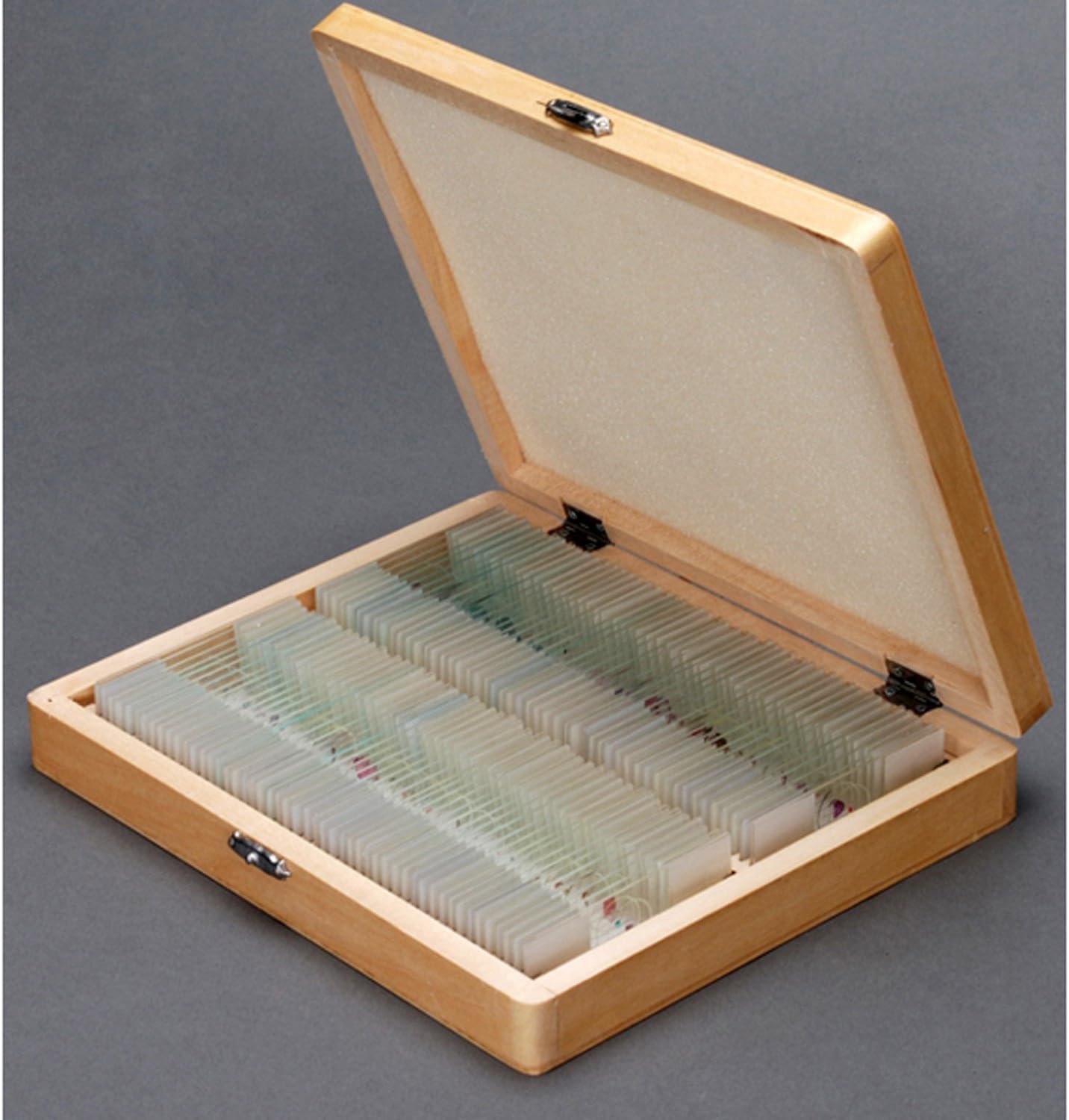 AmScope 40X-1000X Metal Body Glass Lens Biology Student Microscope + 100 Specimen Slides