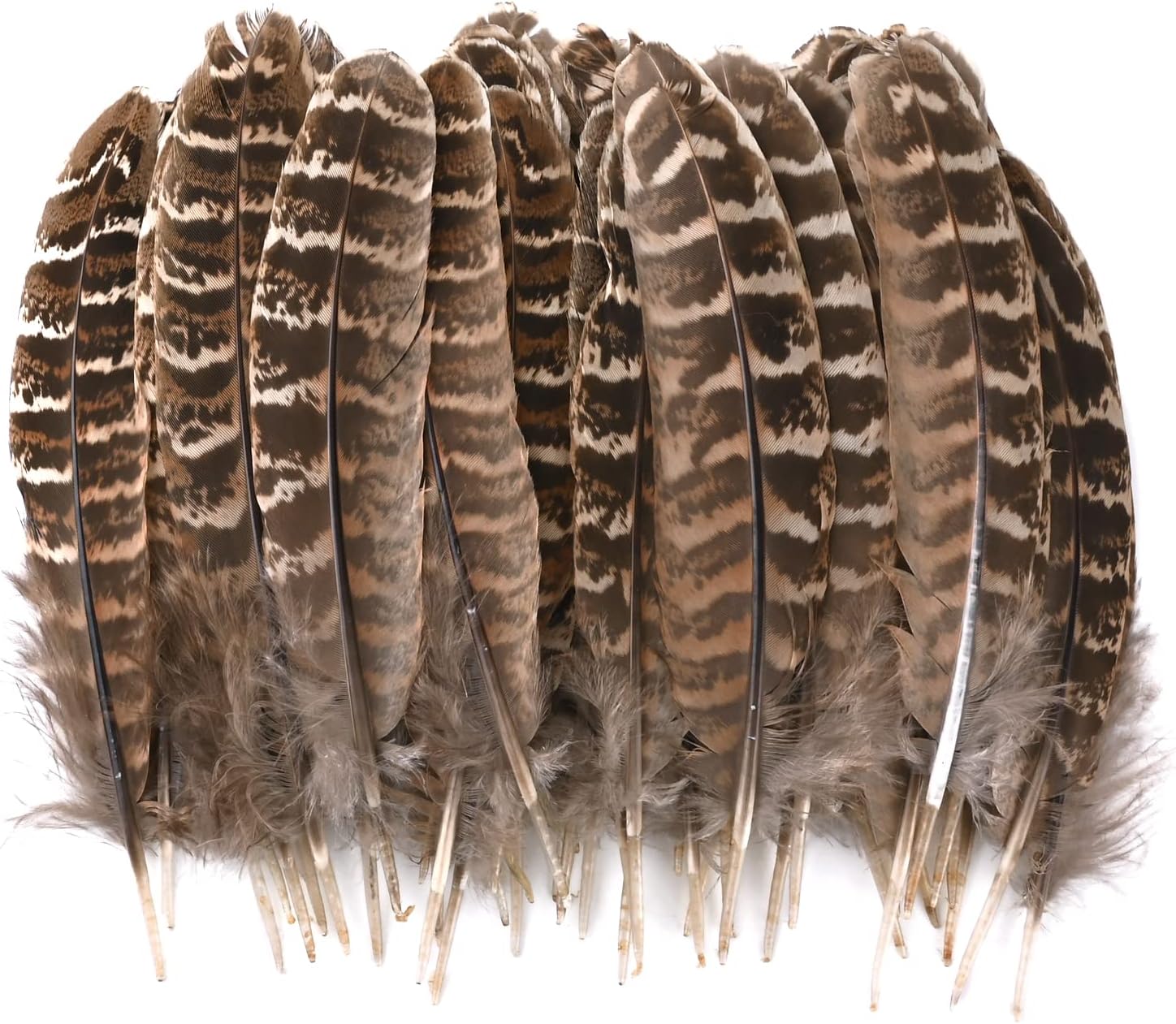 Feather for Crafts 50Pcs Natural Pheasant Feathers DIY Pheasant Tails Feather Brown Feathers Natural Speckled Feathers for DIY Dream Catcher Crafts,Hair Hats,Halloween Christmas Party Decoration