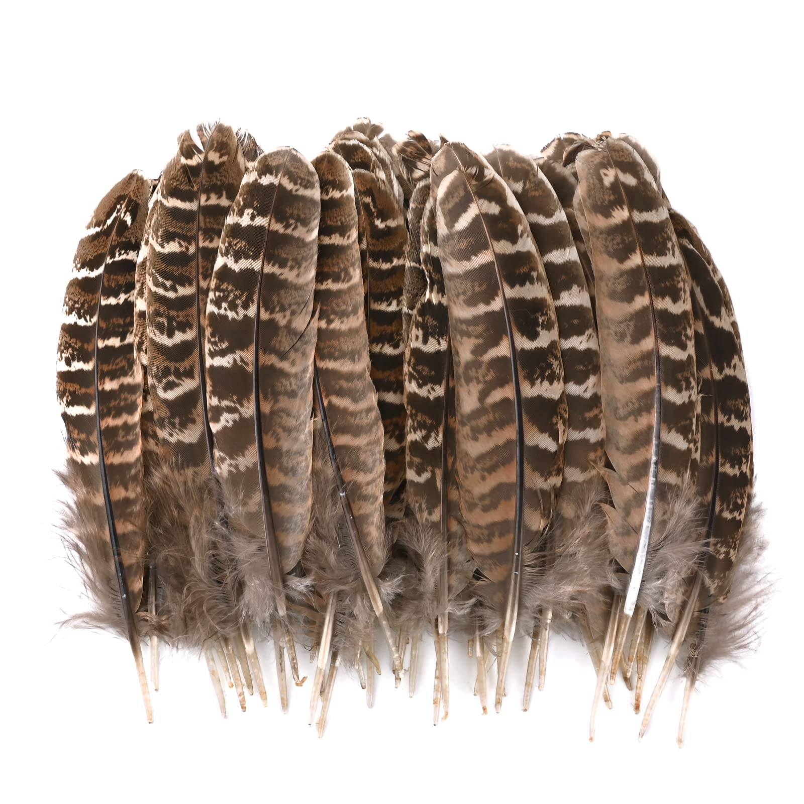 Feather for Crafts 50Pcs Natural Pheasant Feathers DIY Pheasant Tails Feather Brown Feathers Natural Speckled Feathers for DIY Dream Catcher Crafts,Hair Hats,Halloween Christmas Party Decoration