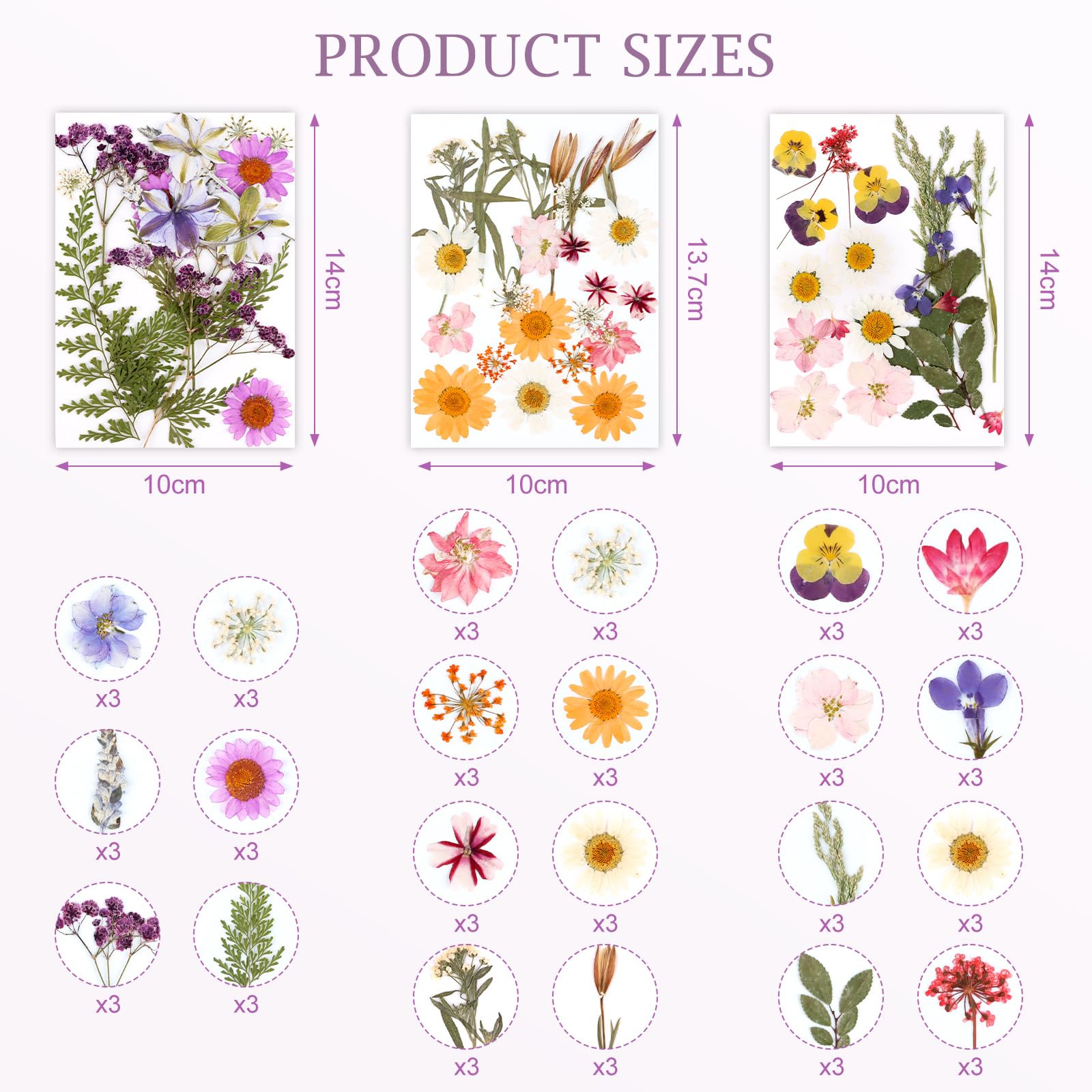 MXTIMWAN Fiori Secchi Decorativi 66 Pz, Fiori Pressati Naturali per Candele, Resina, Scrapbooking