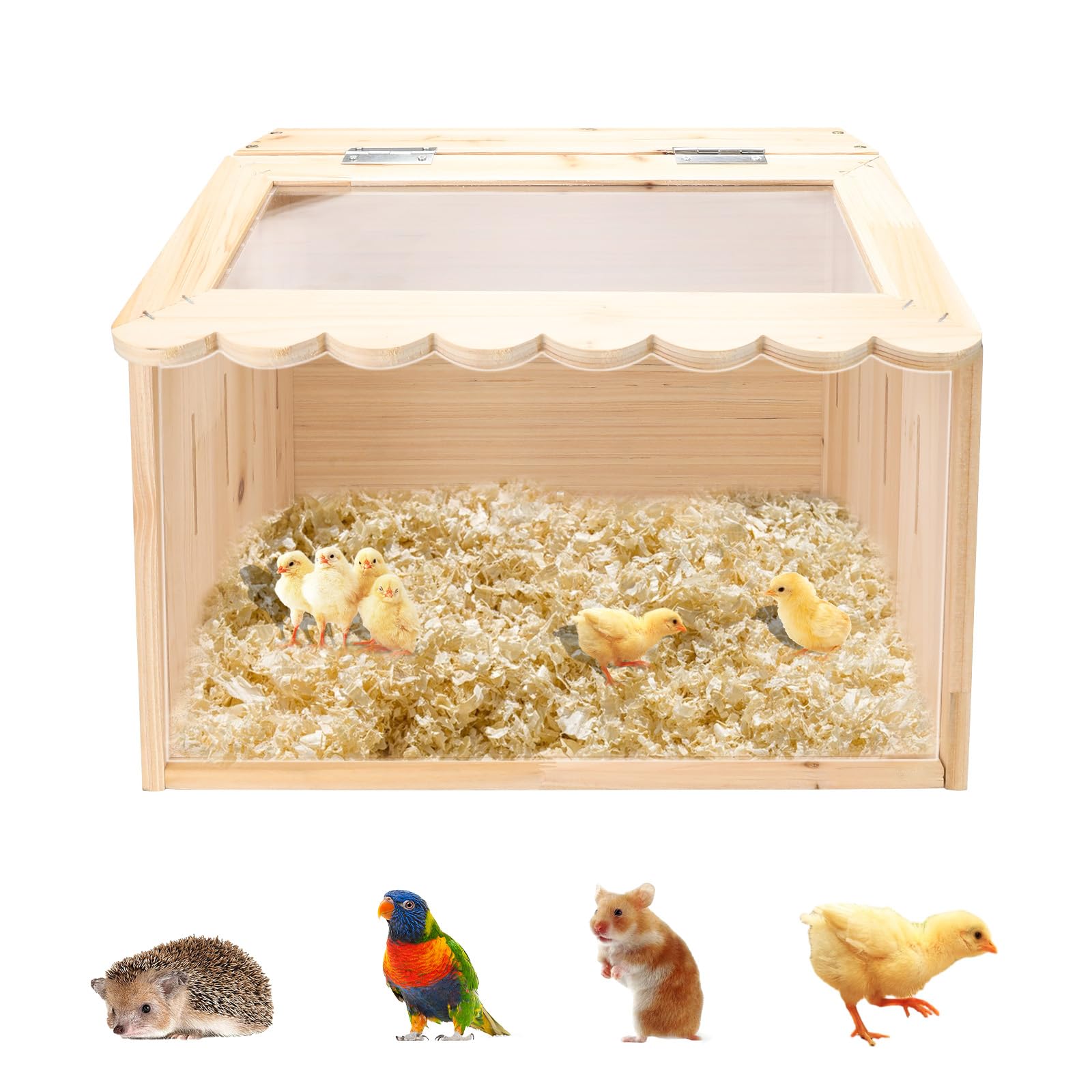 Grande gabbia per polli, 40 x 30 x 30 cm, in legno per pulcini, recinto per animali con copertura per pulcini, criceti, tartarughe, rettili