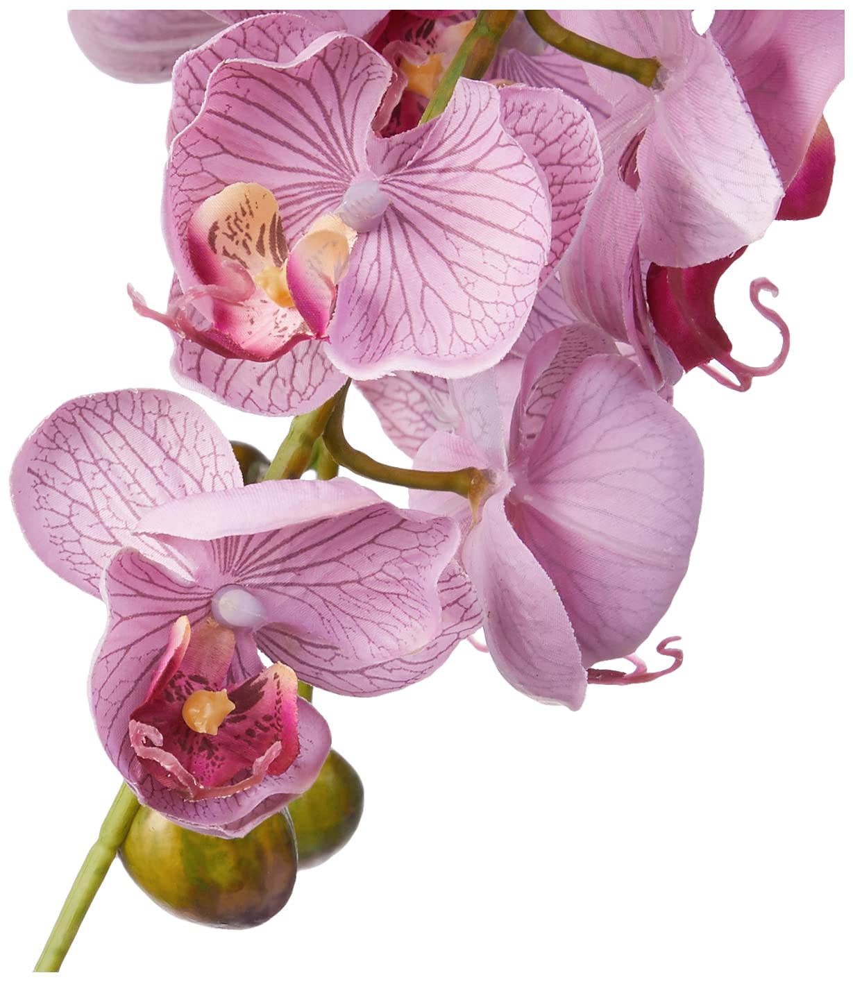 Nearly Natural Phalaenopsis with Glass Vase Silk Flower Arrangement