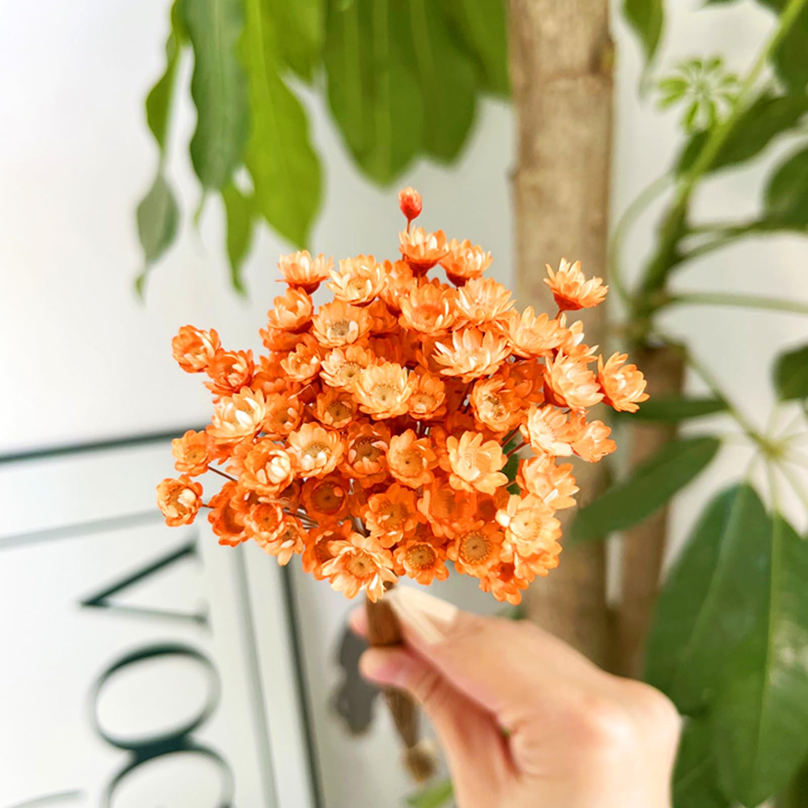 Bouquet De Fleurs Séchées Georgette | Réconciliation Végétale