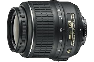 Nikon 17-55mm DX VR Zoom Lens: Capture Dynamic Perspectives