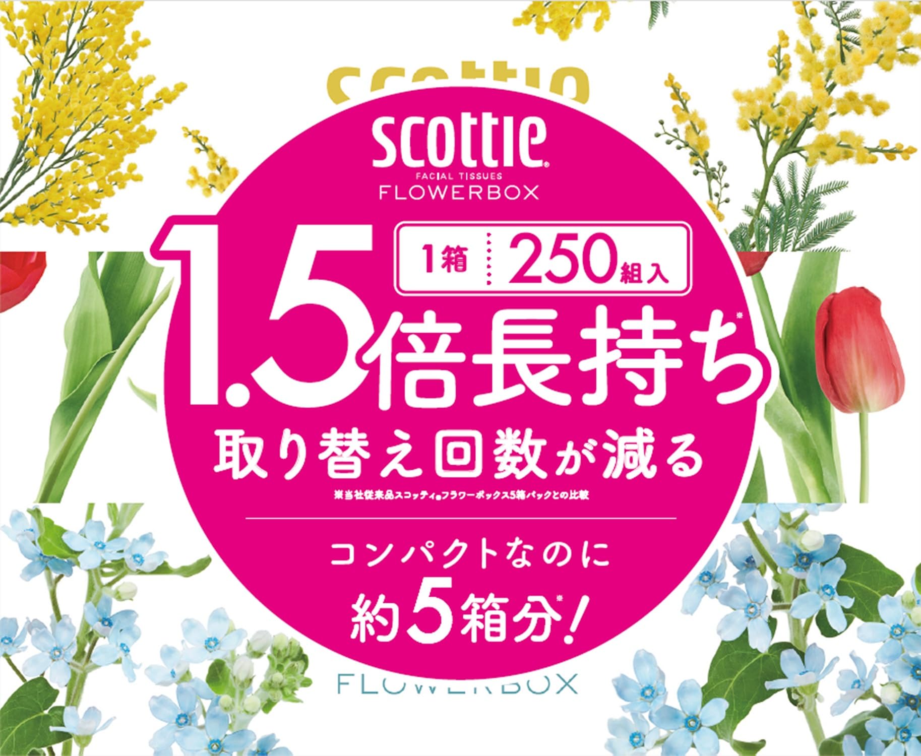 Amazon.co.jp: ティッシュ 長持ち 500枚(250組) 3箱 スコッティ